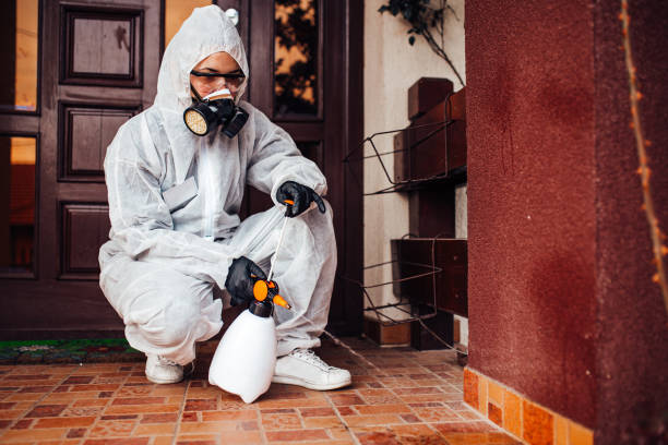 Reliable Wasp Removal contractor in Adamstown, MD by Show Me Pest Control